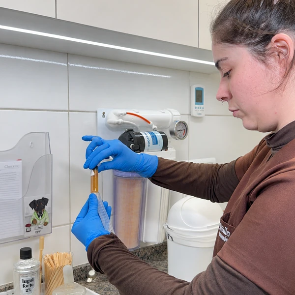 Preparando lâmina para microscópio