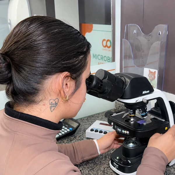 Veterinária usando microscópio